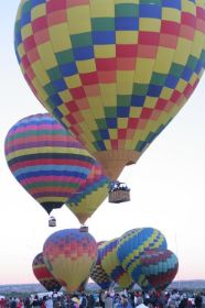 IMG_9066.JPG