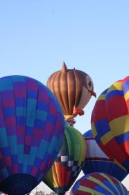 IMG_9138.JPG