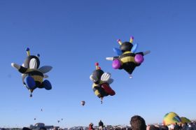 IMG_9201.JPG