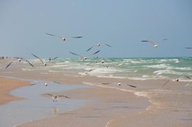 IMG_2636.bew.jpg