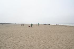 72 SF strand.jpg