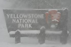 23 sea.yellowstone.jpg